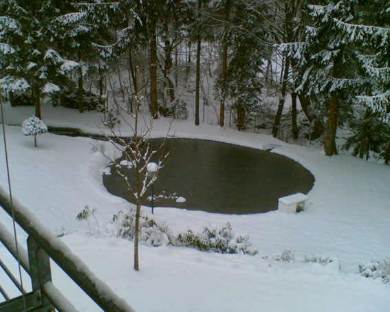 Teich im Schnee